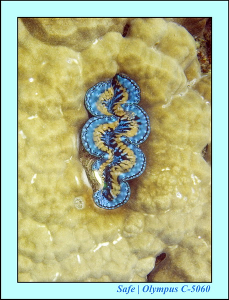 2008 - 07 - Perhentian - 033